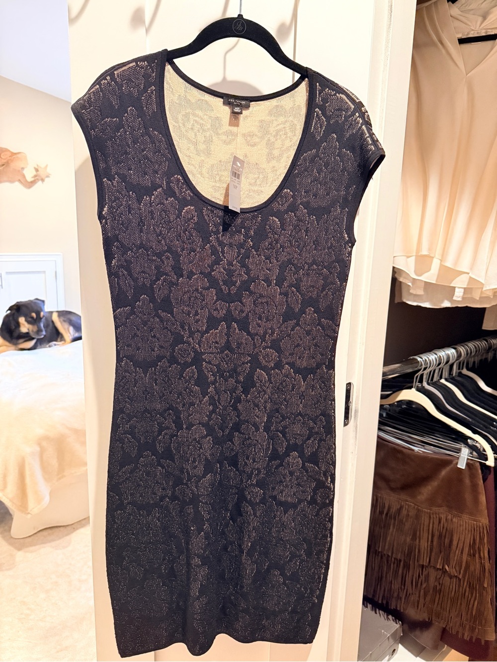 NWT Ann Taylor Petite Black Nude Floral Lace Knit Dress MP
